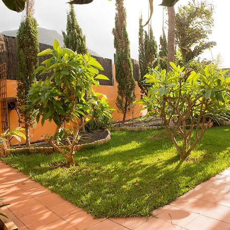 Energy Garden Villa Bajamar  Bagian luar foto