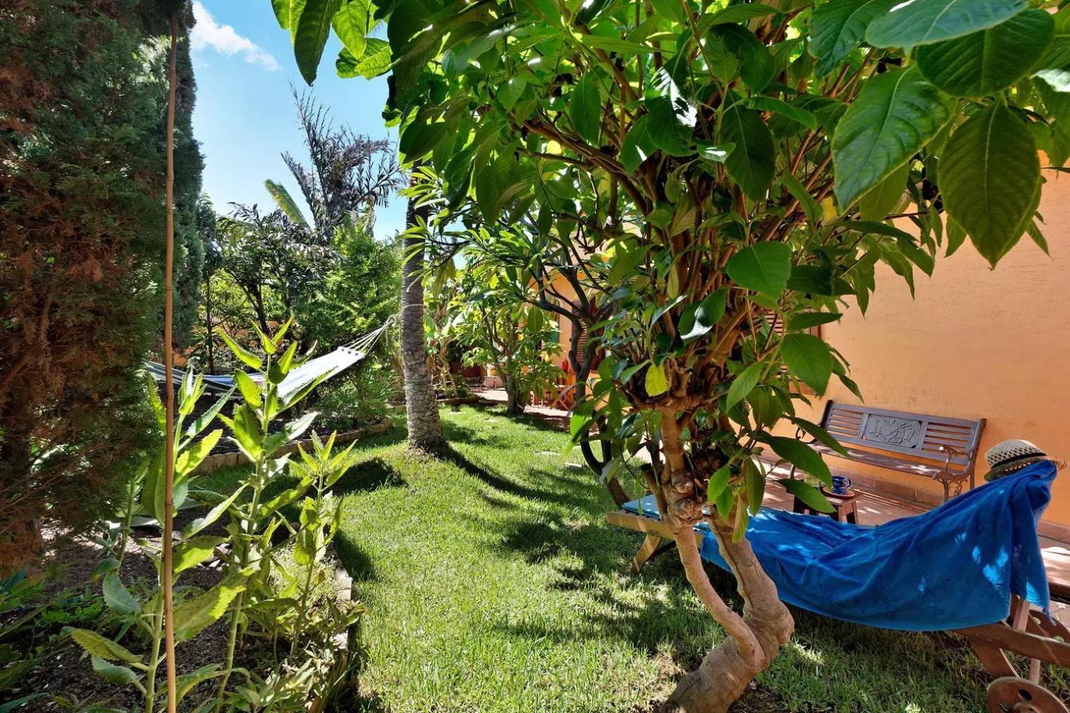 Energy Garden Villa Bajamar  Bagian luar foto